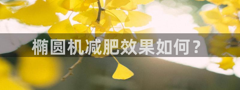 龙八国际app客户下载