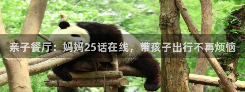龙8国际试玩