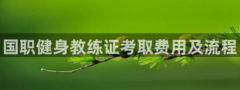 龙8国际娱首页