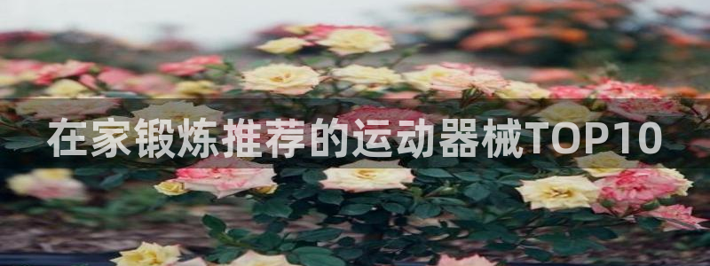 龙8国际中国唯一官方网站