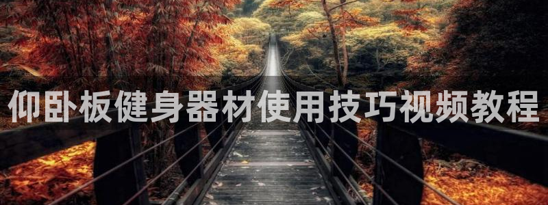 龙8国际老虎机娱乐
