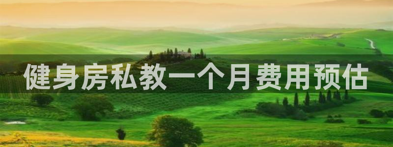 龙8国际游资如何