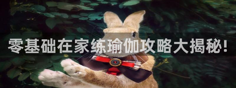 龙8唯一官网