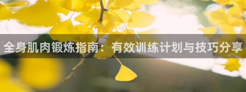 龙8国际怎么样