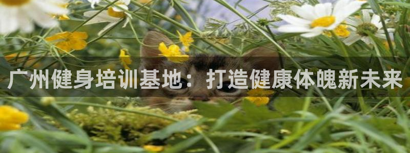 龙8电子游戏_首页