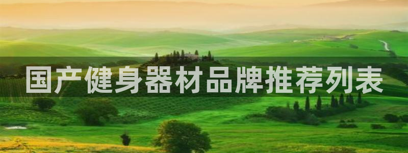 龙8国际手机登