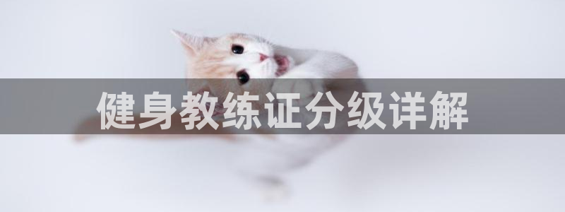 龙8国际怎么进不去了