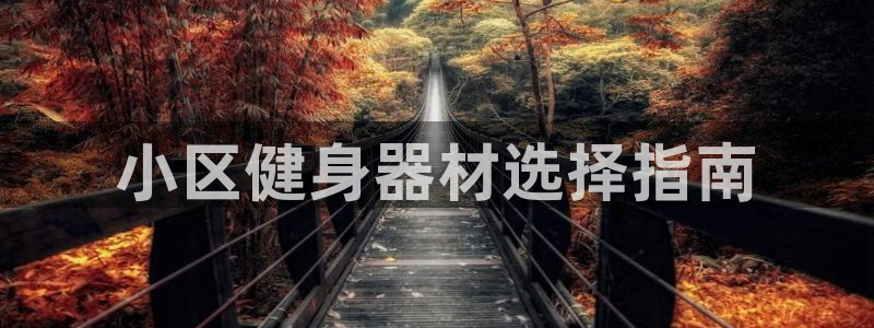 龙8国际手机网页版