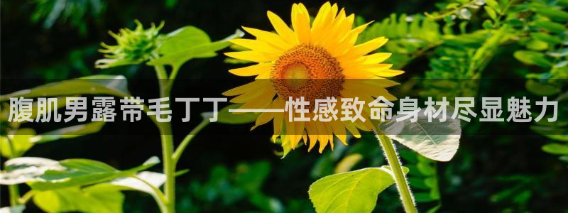 龙8国际游戏公司官网