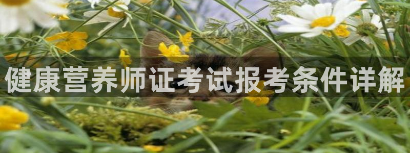 龙8国际中国