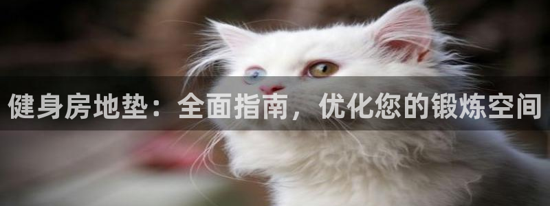 龙8国际中国官方网站