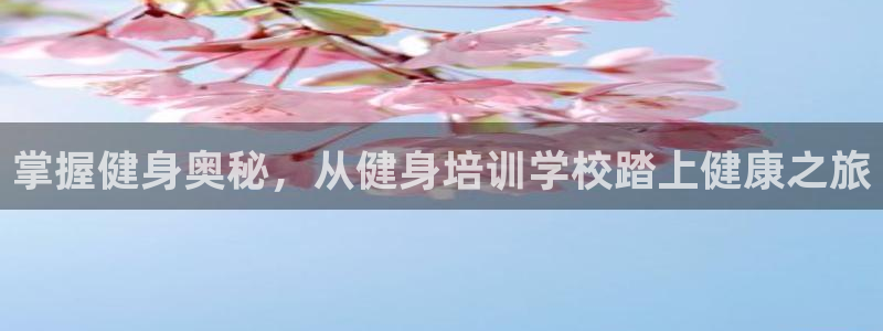 龙8国际是不是黑网