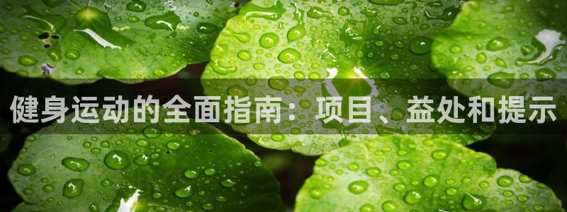 龙8国际开户