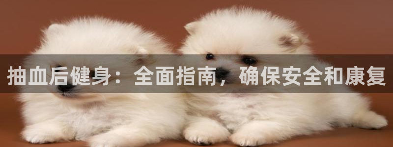 龙8国际官方平台
