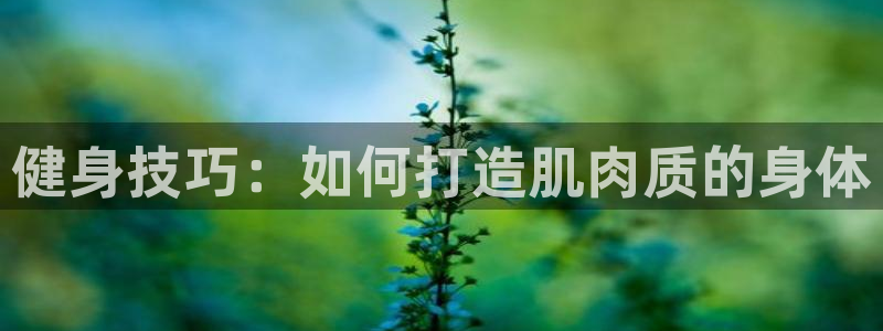 龙8国际正规吗
