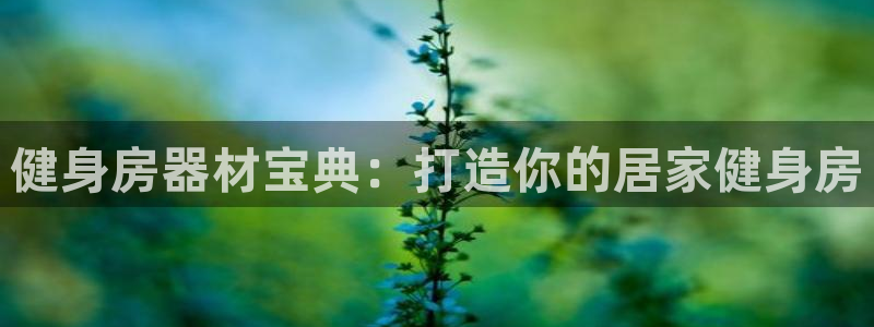 龙8国际游戏娱乐