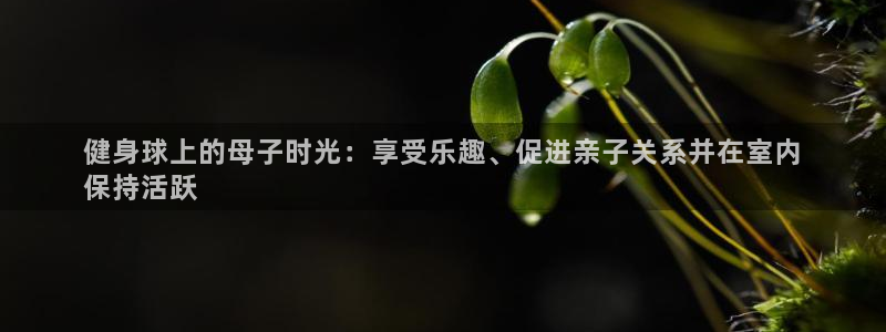 龙8国际安卓版