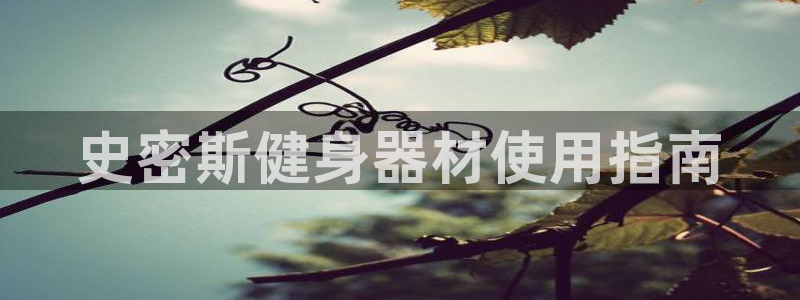 龙8国际免费试玩