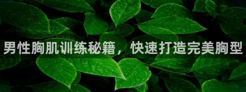 下载龙八国际官网