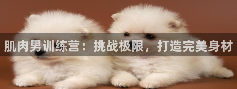 龙8国际安卓版