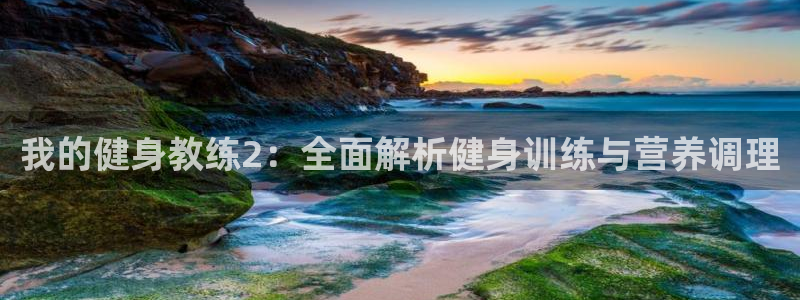 龙8国际平台官网