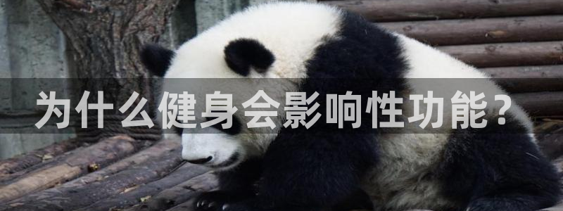 龙8国际官方网址