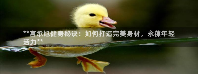 龙八国际下载官网平台
