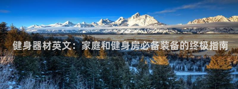 龙8国际pt网址