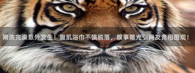 龙8国际官网手机客户端