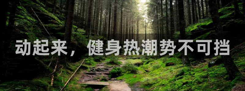 龙八国际官方网