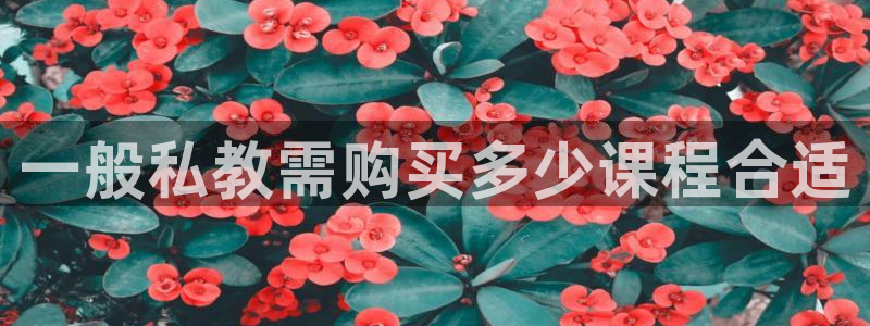 龙8国际总代理