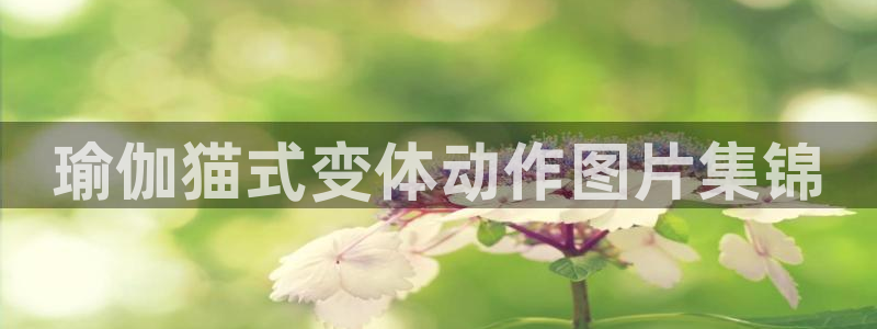 龙八国际娱乐老板是谁