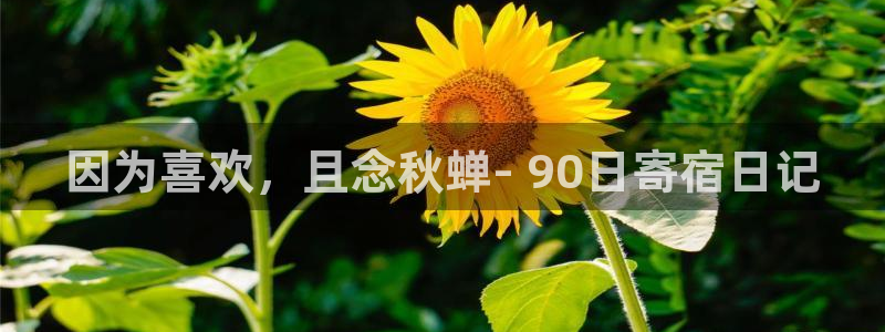 龙八国际娱乐在线游戏