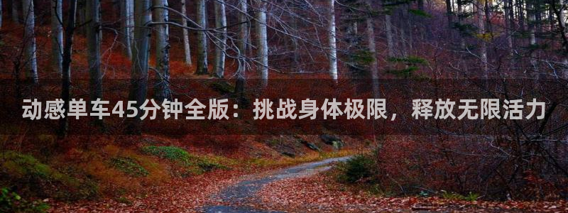 龙8官网国际