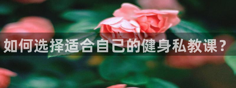 龙8app 国际