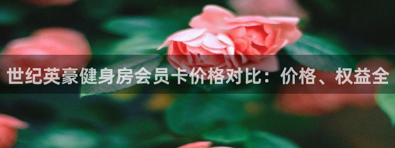 龙8国际网站