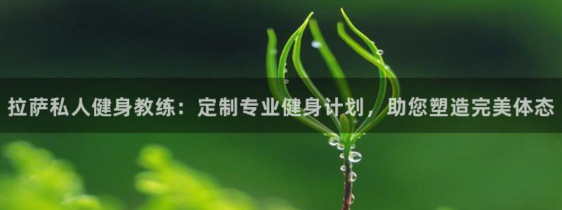 龙8国际平台