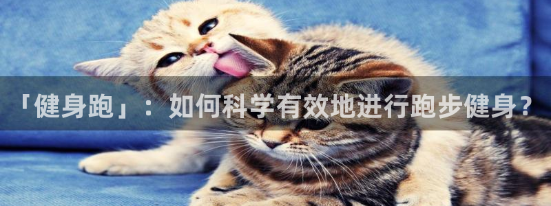 龙8国际app下载安装