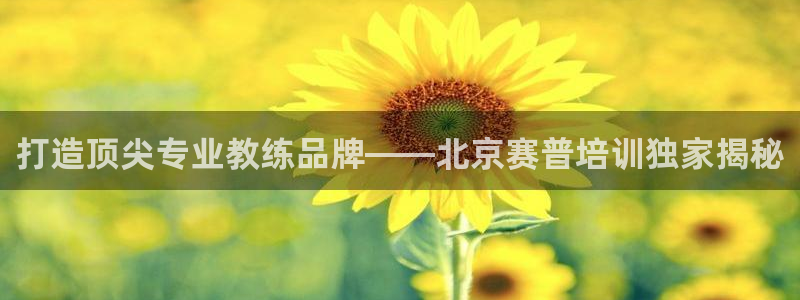 龙8国际网页登陆