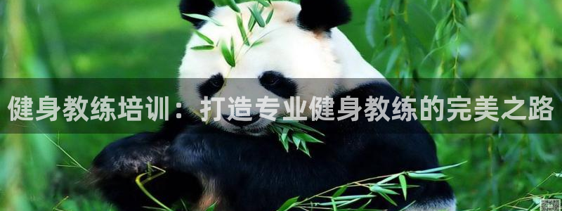 龙8国际游戏公司官网