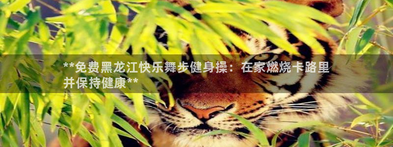 龙8官网国际