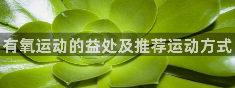 龙8国际手机版