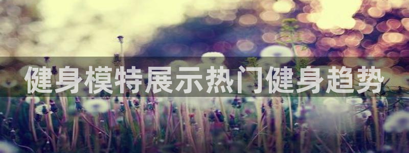 龙8国际long8
