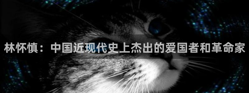 龙8国际老虎机游戏