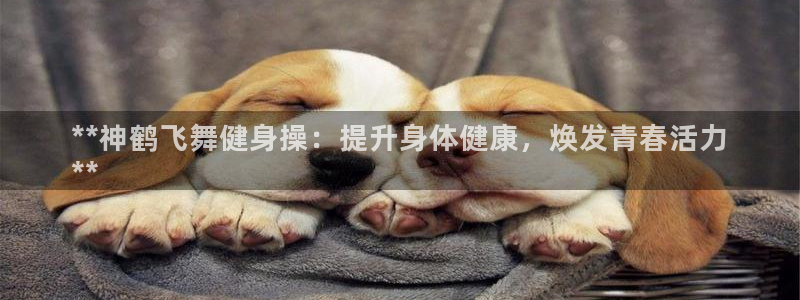 龙8国际官方平台