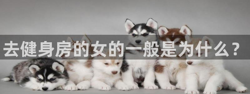 龙8国际官网 点此进入