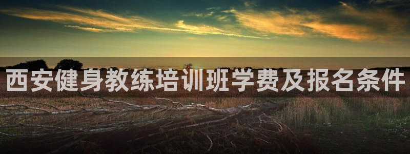 国际龙8官网pt客户端