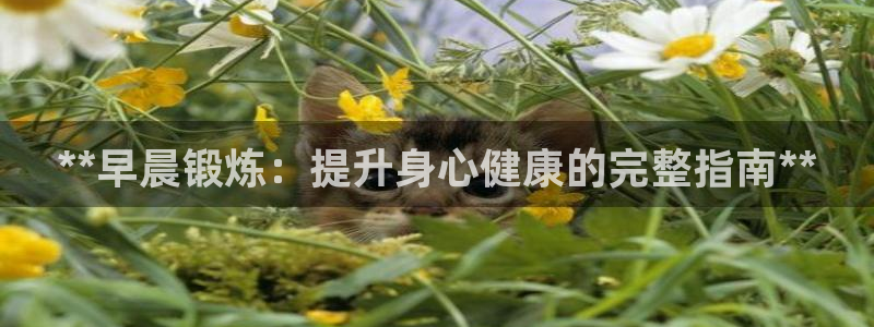 龙8国际的官网