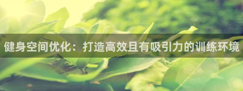 龙8官网国际