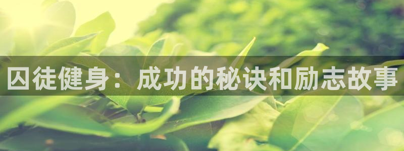 龙八国际娱乐平台网站